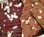 Chokoladebrud